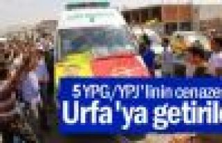 5 YPG/YPJ savaşçısının cenazesi Urfa'ya getirildi