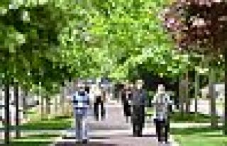 65 yaş üstü 'turizm belgesi' ile seyahat edebilecek