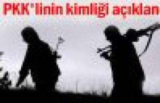 8 PKK'linin kimlik bilgileri açıklandı