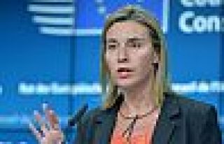 AB: PKK ile mücadelede siyasi süreç başlatılmalı