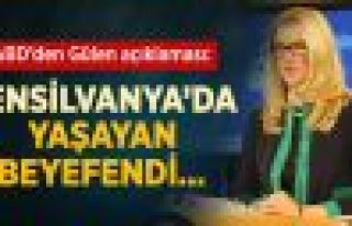 ABD: Eleştirilerimizin Sertleşmesinin Sebebi Gülen...