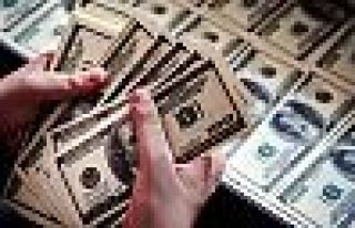 ABD'de 1.66 milyar dolarlık Türk ürününe inceleme