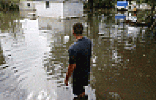 ABD’de sel felaketi: 13 kişi hayatını kaybetti,...