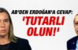 AB'den Erdoğan'a yanıt: Tutarlı olmak Türkiye'nin...