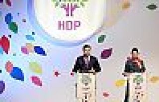 AB'den, Yüksekdağ ve Demirtaş ile ilgili açıklama