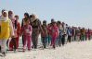 ABD'nin bazı eyaletleri Suriyeli mülteci kabul etmeyecek