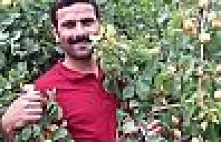 Abi Külter: Hükümet Hurşit'i darbecilere sorsun