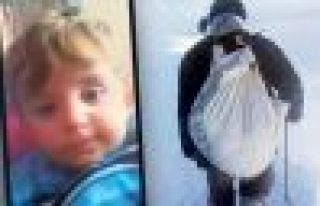 Adalet, cenazesi babasının sırtında taşınan...