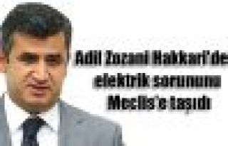 Adil Zozani Hakkari'deki elektrik sorununu Meclis'e...