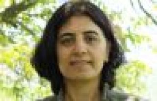 Adır: HDP sorunları çözmek için meclise girmeli