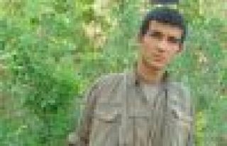 Ağrı'daki operasyonde yaşamını yitiren 1 PKK'linin...