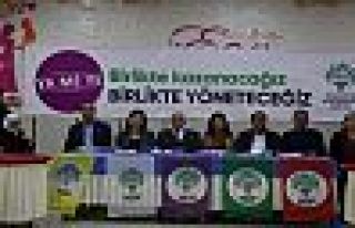 Ahmet Türk: Ayrıştıran değil birleştiren siyaset...