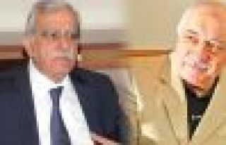 Ahmet Türk, Fethullah Gülen ile görüşmüş iddiası