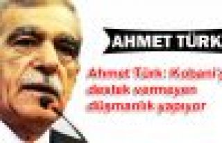 Ahmet Türk: Kobani'ye destek vermeyen düşmanlık...