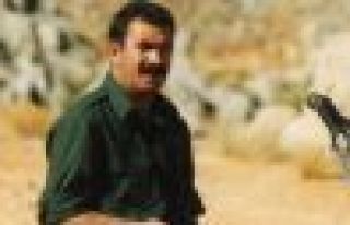 AİHM Öcalan kararını açıkladı!