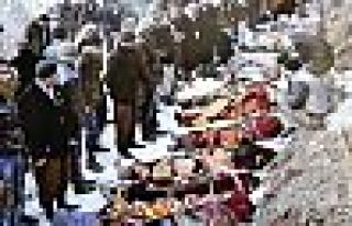 AİHM Roboski Katliamı başvurusunu neden reddetti?