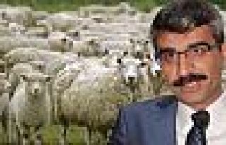 AK Partili adayın yakınlarına 300'er koyun!