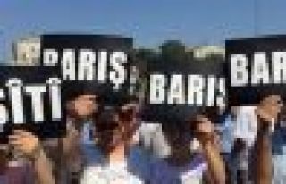 Akademisyenlerden tahkim edilmiş ateşkes çağrısı