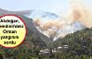 Akdoğan, Şemdinli'deki Orman yangınını sordu