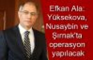 Ala: Yüksekova, Nusaybin ve Şırnak'ta operasyon...
