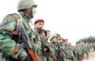 Alman Ordusu: 500 peşmergenin eğitimi başladı