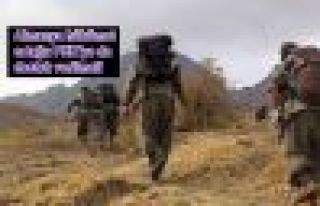 Almanya hükümet ortağı: PKK'ye de destek verilmeli