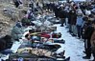 Altıparmak: AİHM, Roboski katliamını tarihe gömdü