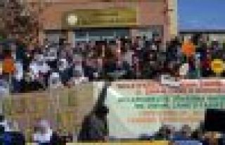 Amed 'anadil' için yürüdü