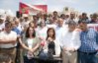 Amed belediyesine yapılan saldırıya kitlesel protesto