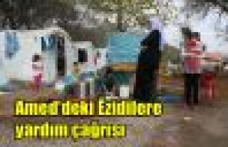Amed'deki Ezidilere yardım çağrısı