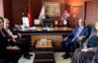 Angelina Jolie Mardin'de