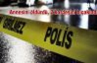 Annesini öldürdü, 2 kardeşini bıçakladı