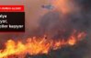 Antalya'da Orman Yangını: Tatilciler Bölgeden Kaçtı