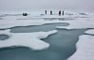 Antarktika kazılıyor: Bir milyon yıl önce ne oldu?