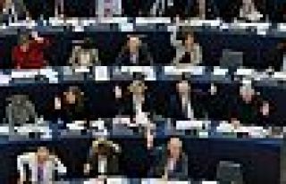 AP’den Türkiye için 'referandum' kararı