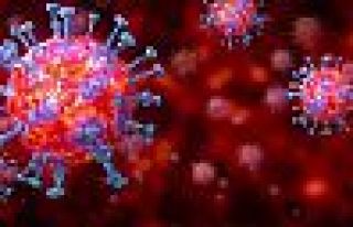 Araştırma: Korona hastalarının viral yükü azaldı...