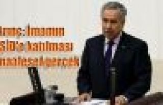 Arınç: İmamın IŞİD'e katılması maalesef gerçek