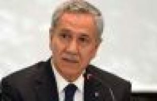 Arınç: Türkiye'den IŞİD'e bin civarında genç...