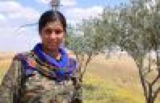 'Armanca me ji hemleyê parastina welatiyan e'