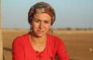 Asker DBP MYK Üyesi Demir’i ağır yaraladı