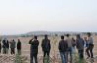 Ateş altındaki Kobani'ye gidişler sürüyor