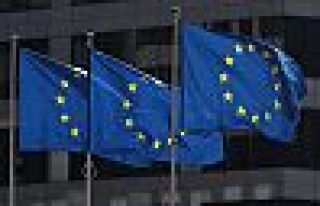 Avrupa Konseyi, Türkiye'den bilgi istedi