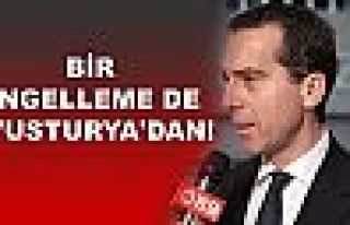 Avusturya: Referandum için gelecek Türk bakanları...