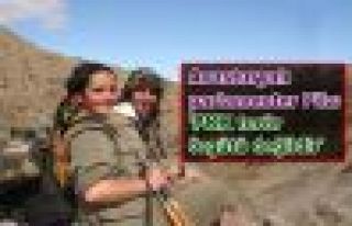 Avusturyalı parlamenter Pilz: 'PKK terör örgütü...