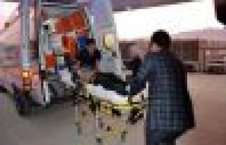 Bağ evinde yangın: 3 ölü