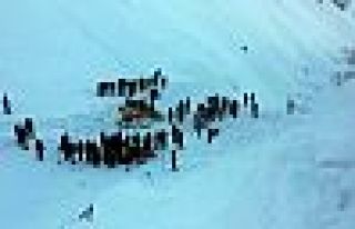 Bahçesaray'da kepçe operatörünün üstüne çığ...