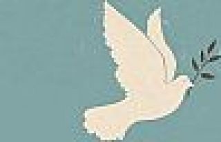 Barış İçin Akademisyenler: Kayıtsız şartsız...