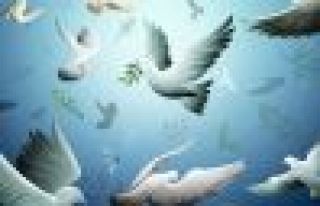 Barış İçin Akademisyenler'e, Barış İçin Edebiyatçılar'dan...