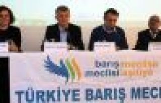 Barış Meclisi'nden çözüm süreci raporu