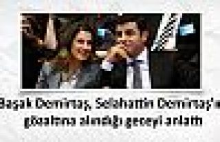 Başak Demirtaş, Selahattin Demirtaş'ın gözaltına...